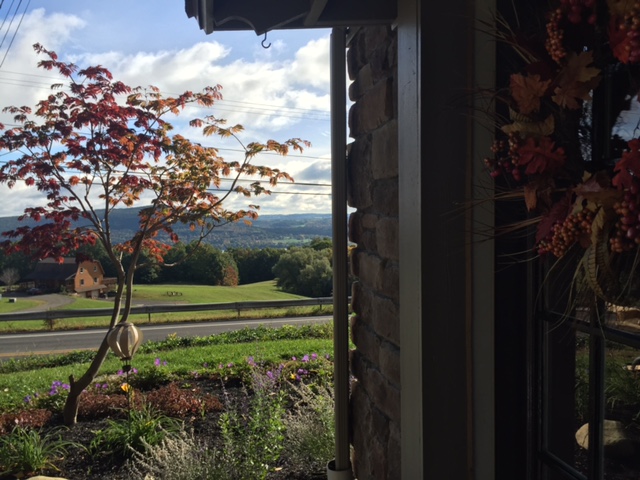 I snuck in a photo of the view from the new studio door. It look so beautiful around here this time of year! If I ever like I'm forgetting to be grateful I look out at the amazing views we have in the beautiful area and immediately remember to be happy and appreciative for the everyday. 