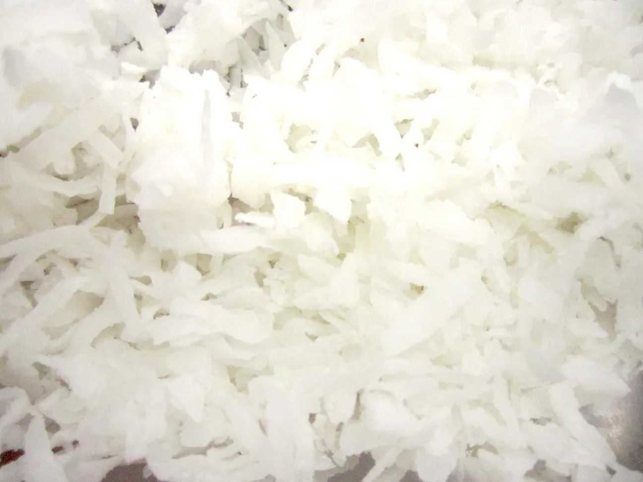 coconutflakes_top.jpg