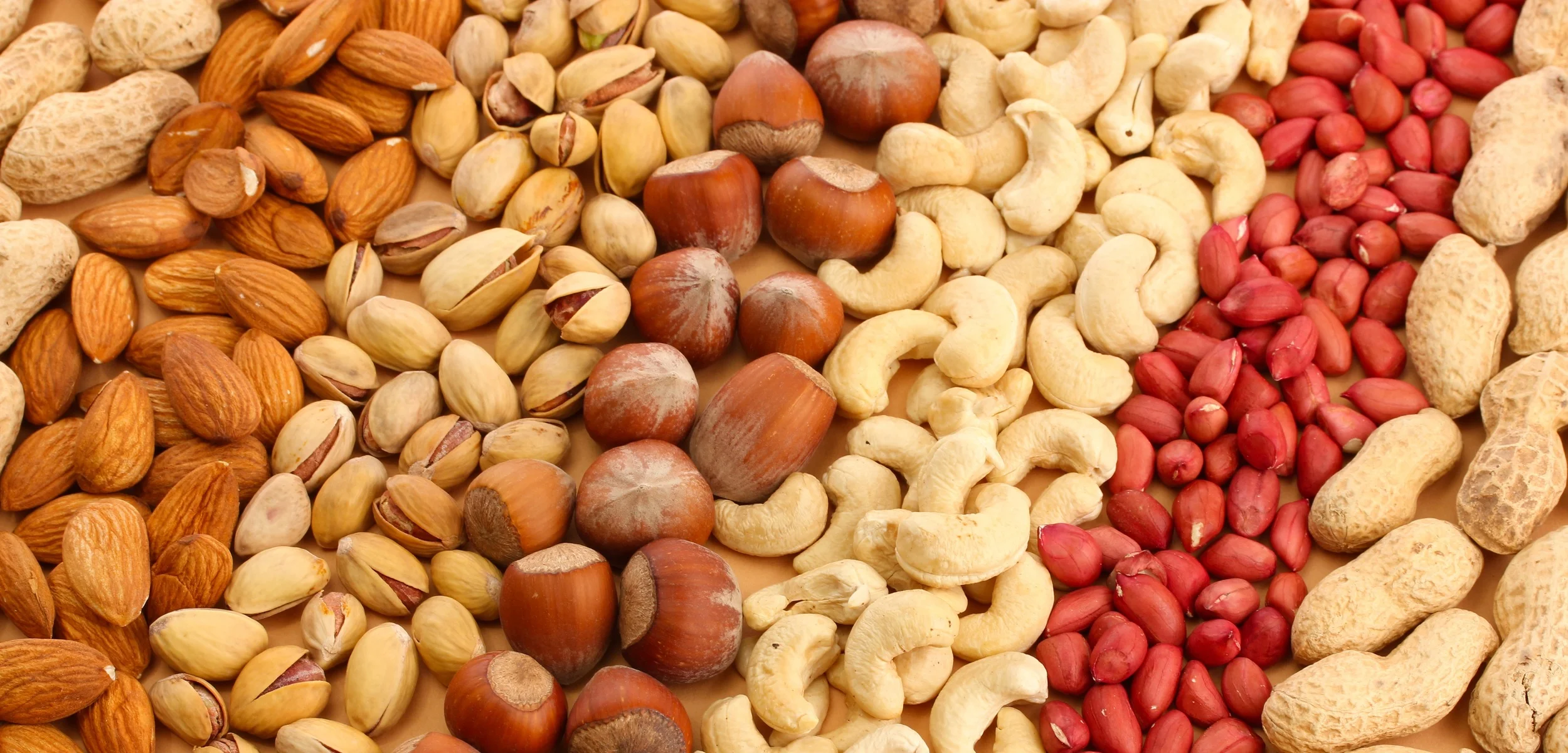 Nuts2.jpg