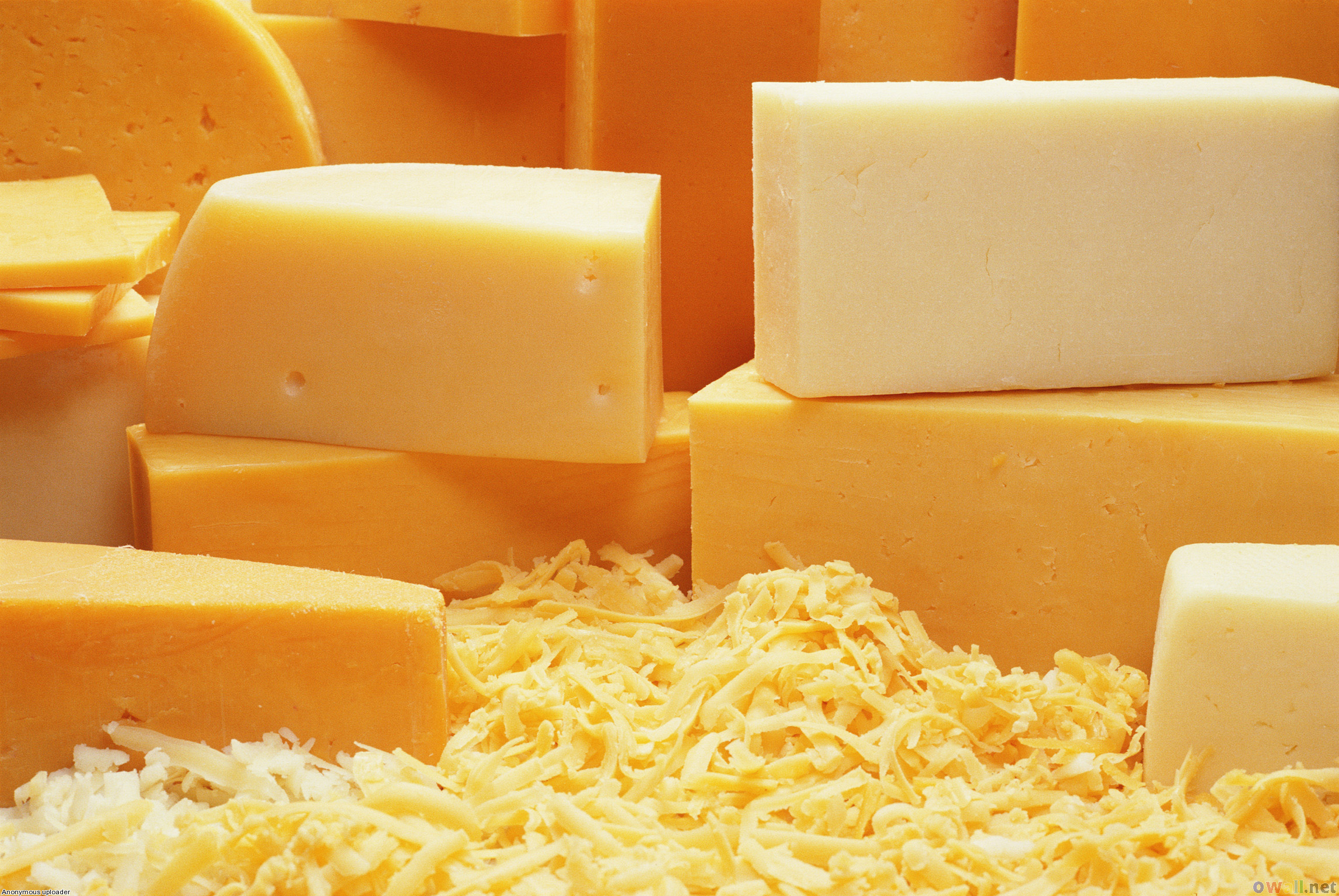 cheese_blocks_and_shreds_2295x1536.png