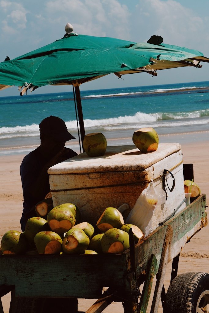 Porto De Galinhas Beach Life Brazil by Eric Van Nynatten_1.jpeg