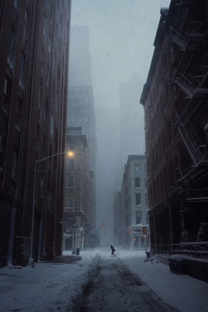 New York City Blizzard 2026 by Eric Van Nynatten.JPG