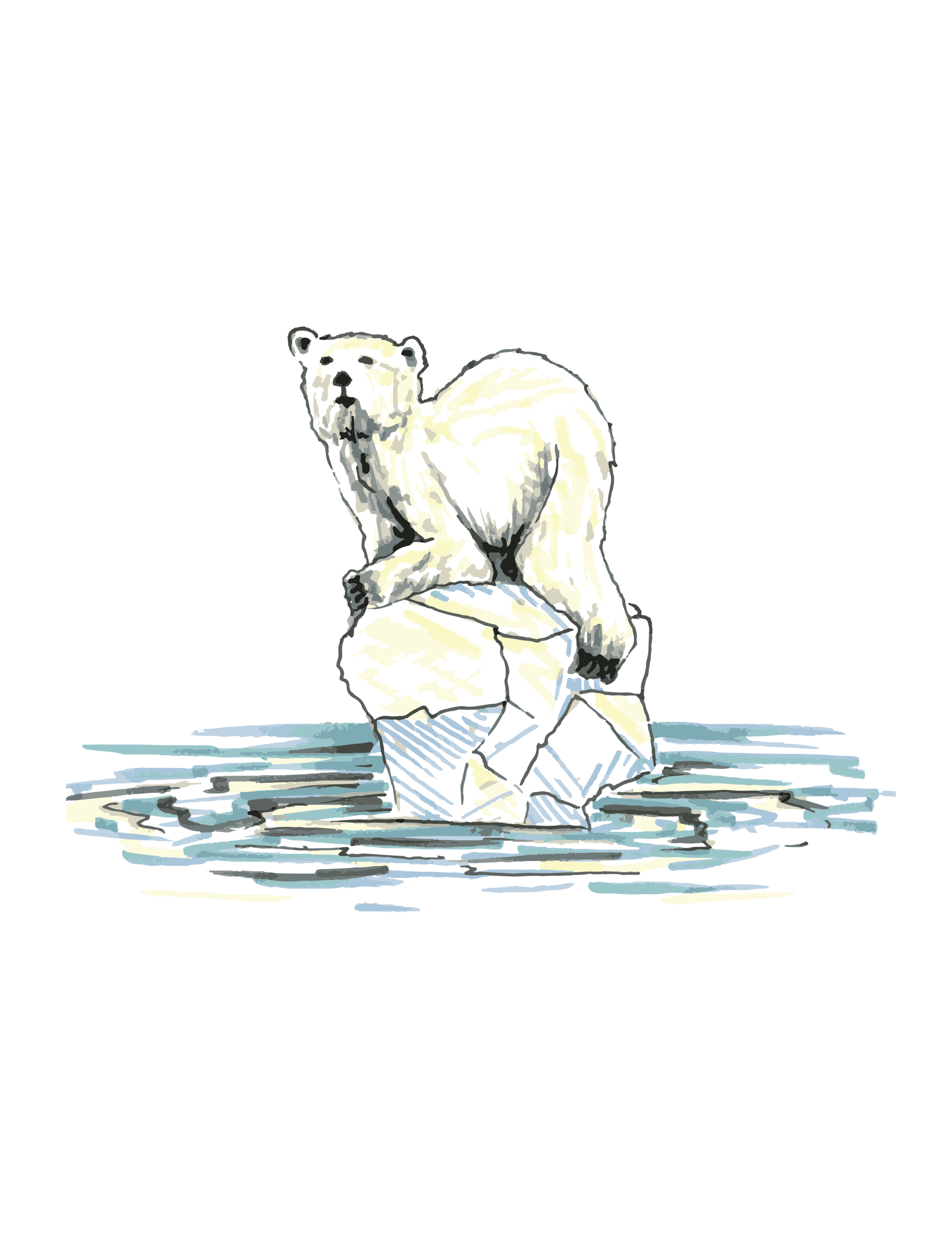 polarbear.png