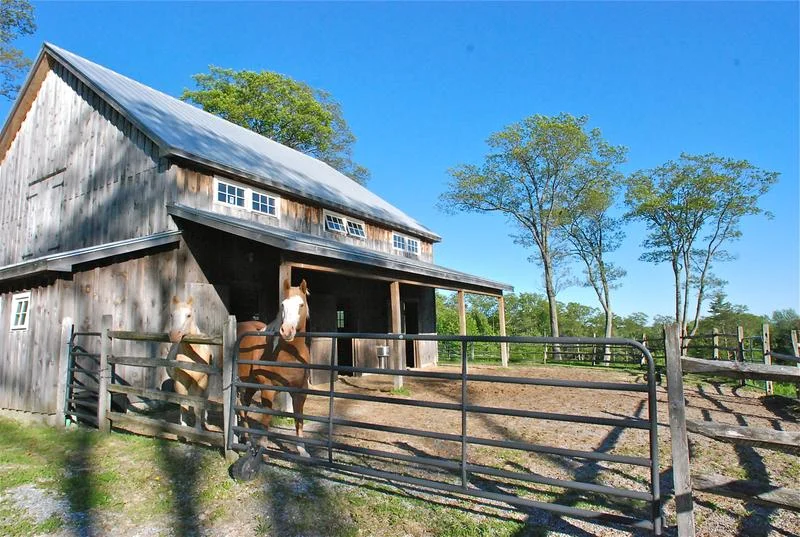 cms_images-DSC_0197________.JPG