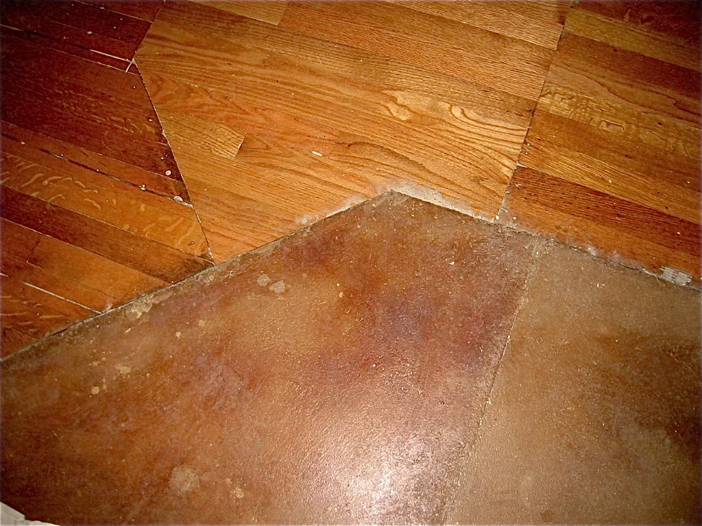 100-0014_IMG_2.JPG