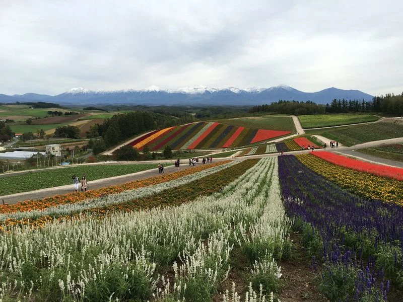 HOKKAIDO