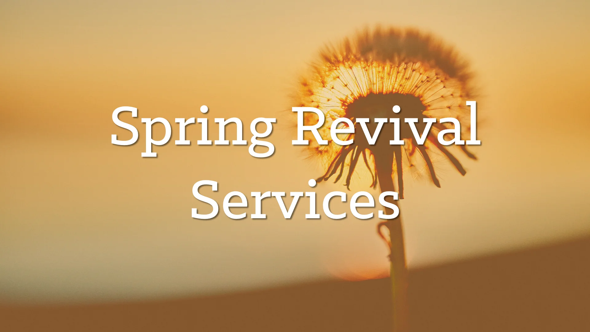 Spring Revival Services