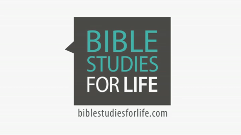Students Begin "Bible Studies for Life" 