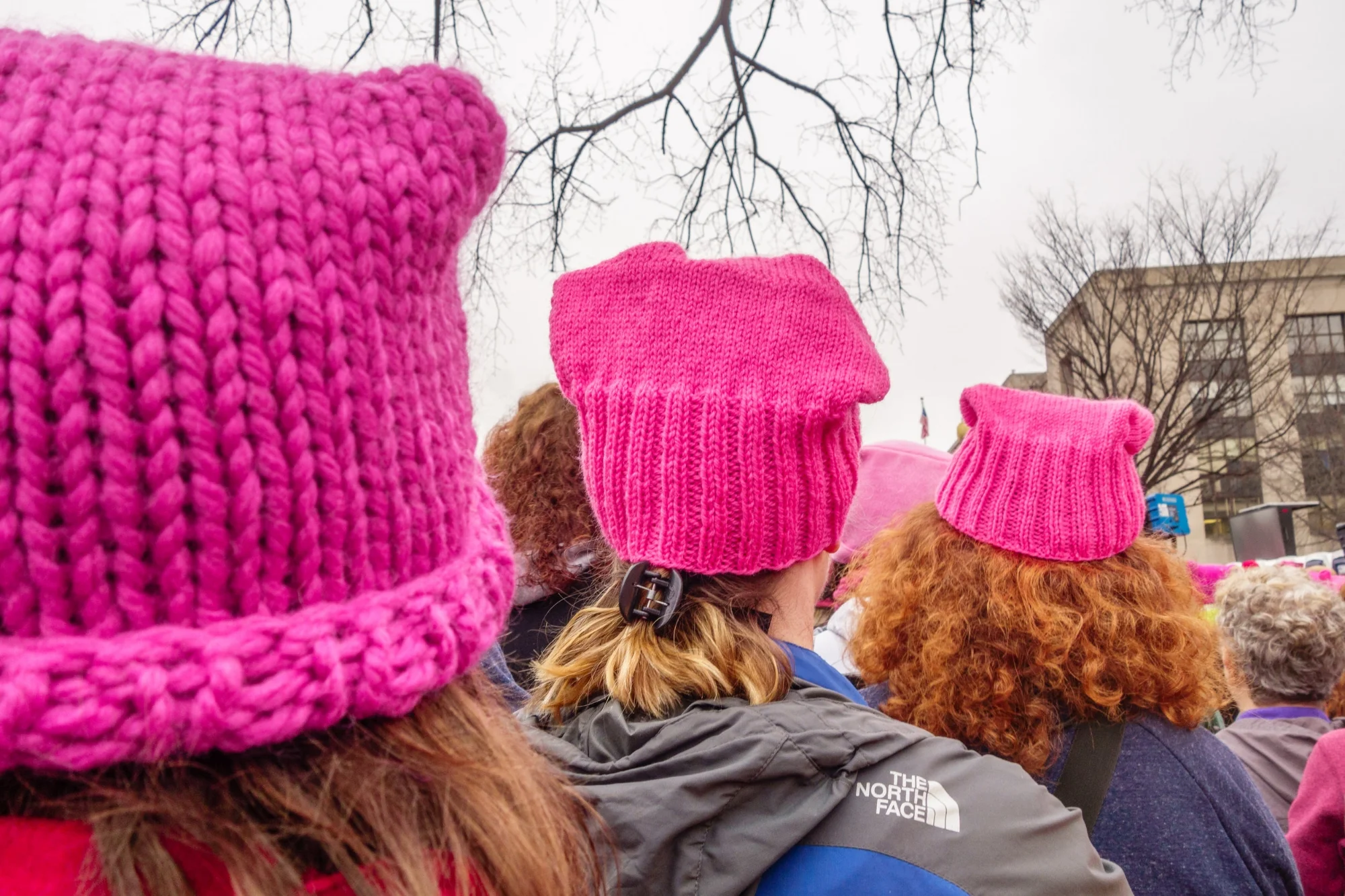 Pink pussy hats.jpg