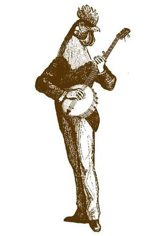 rooster Strumming
