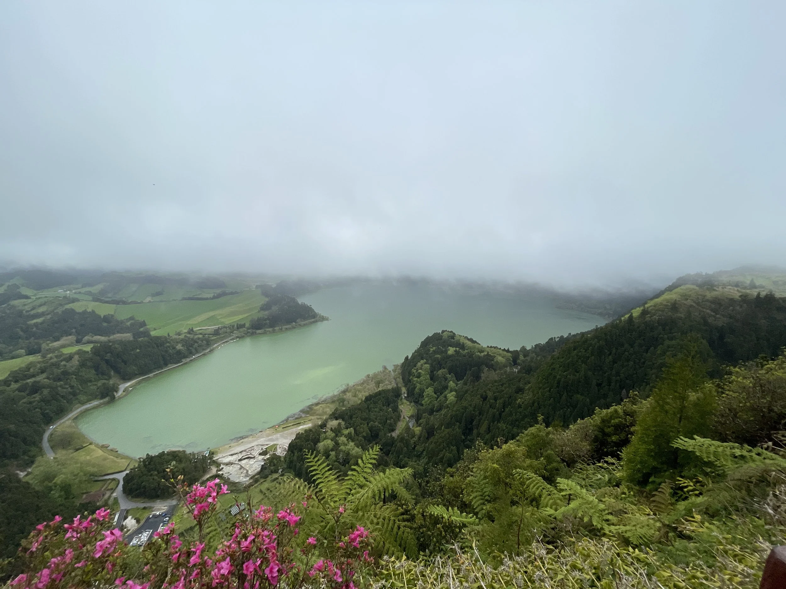 IMG_1171.JPEG