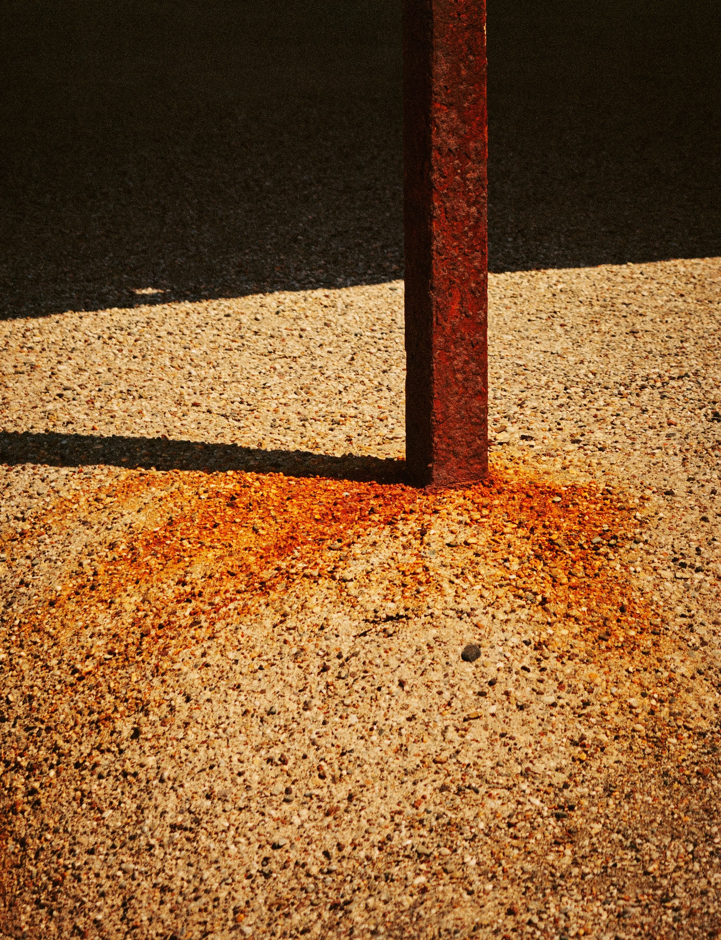 BOARDWALKING_030.jpg