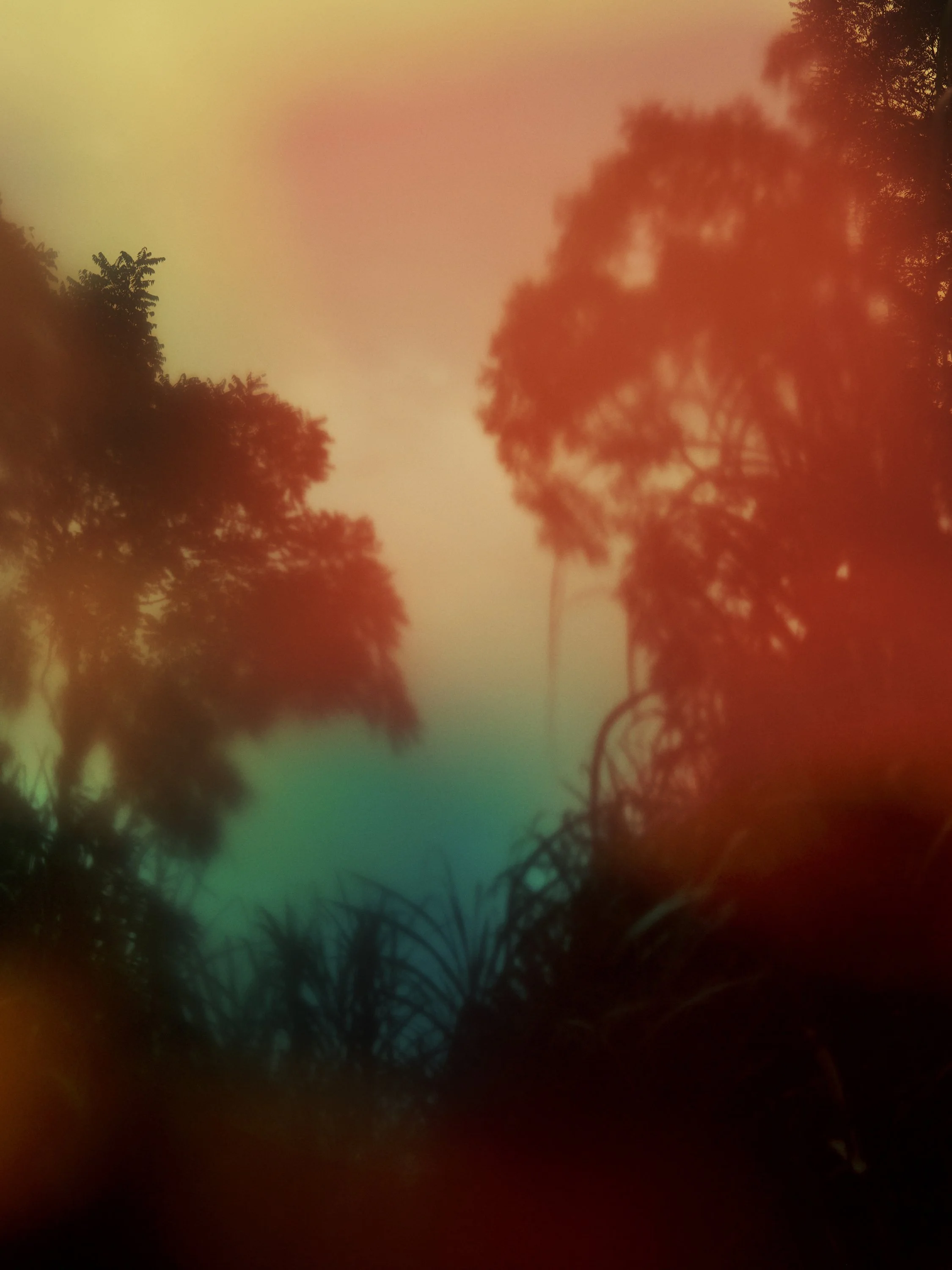RORY_PAYNE_ZACAPA_CAMPAIGN_9.jpg