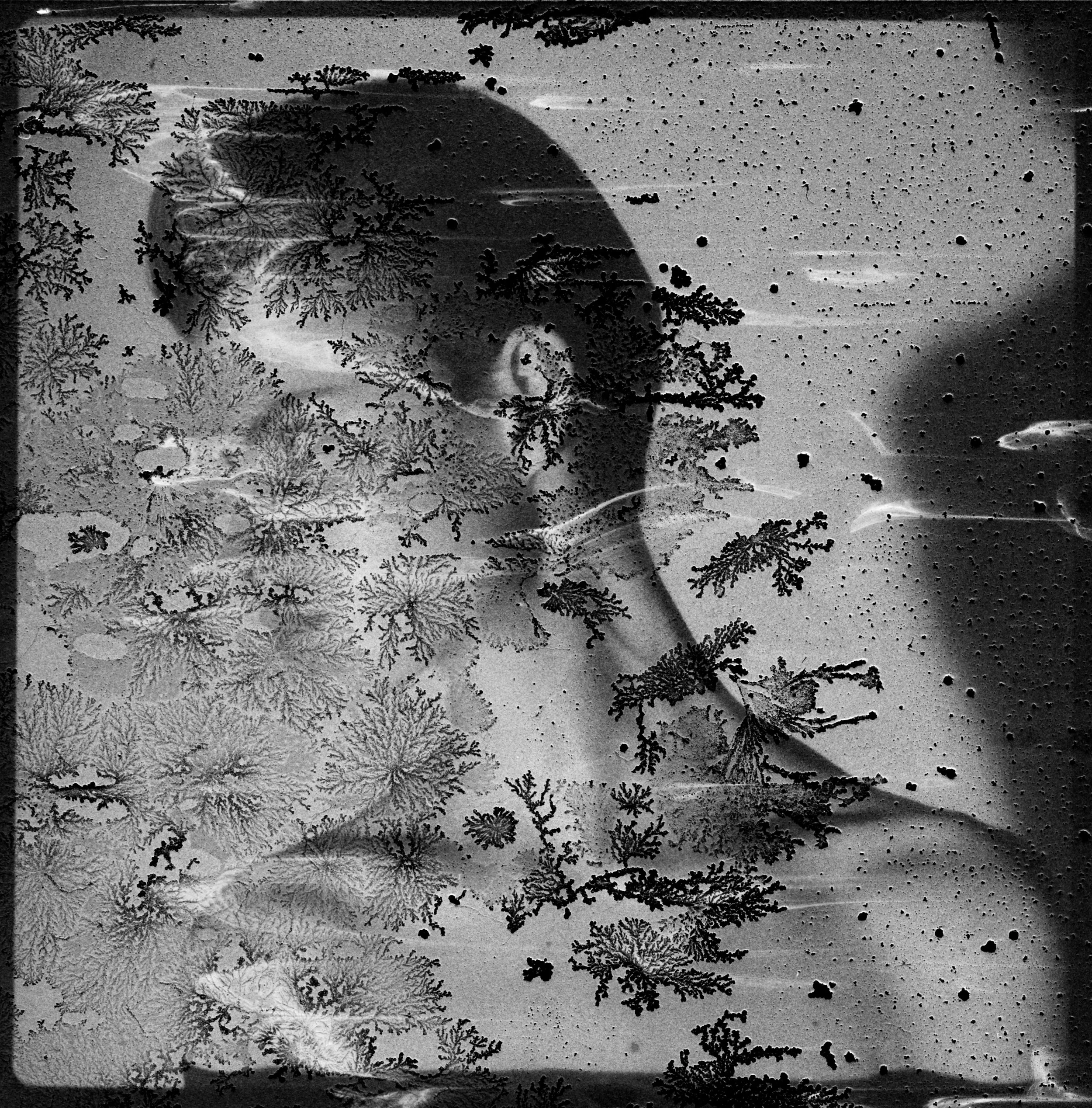 GREATA_POLAROID_9.jpg