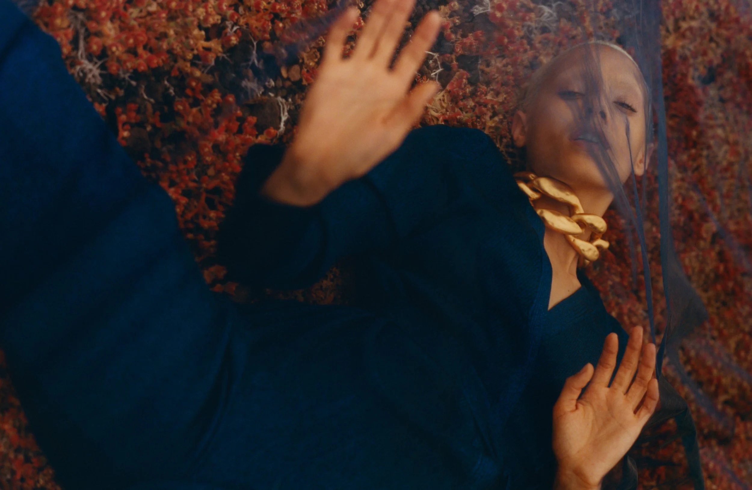 RORY_PAYNE_NUMERO_VOYAGE_SPIRITUEL_JAZELLE_9.jpg