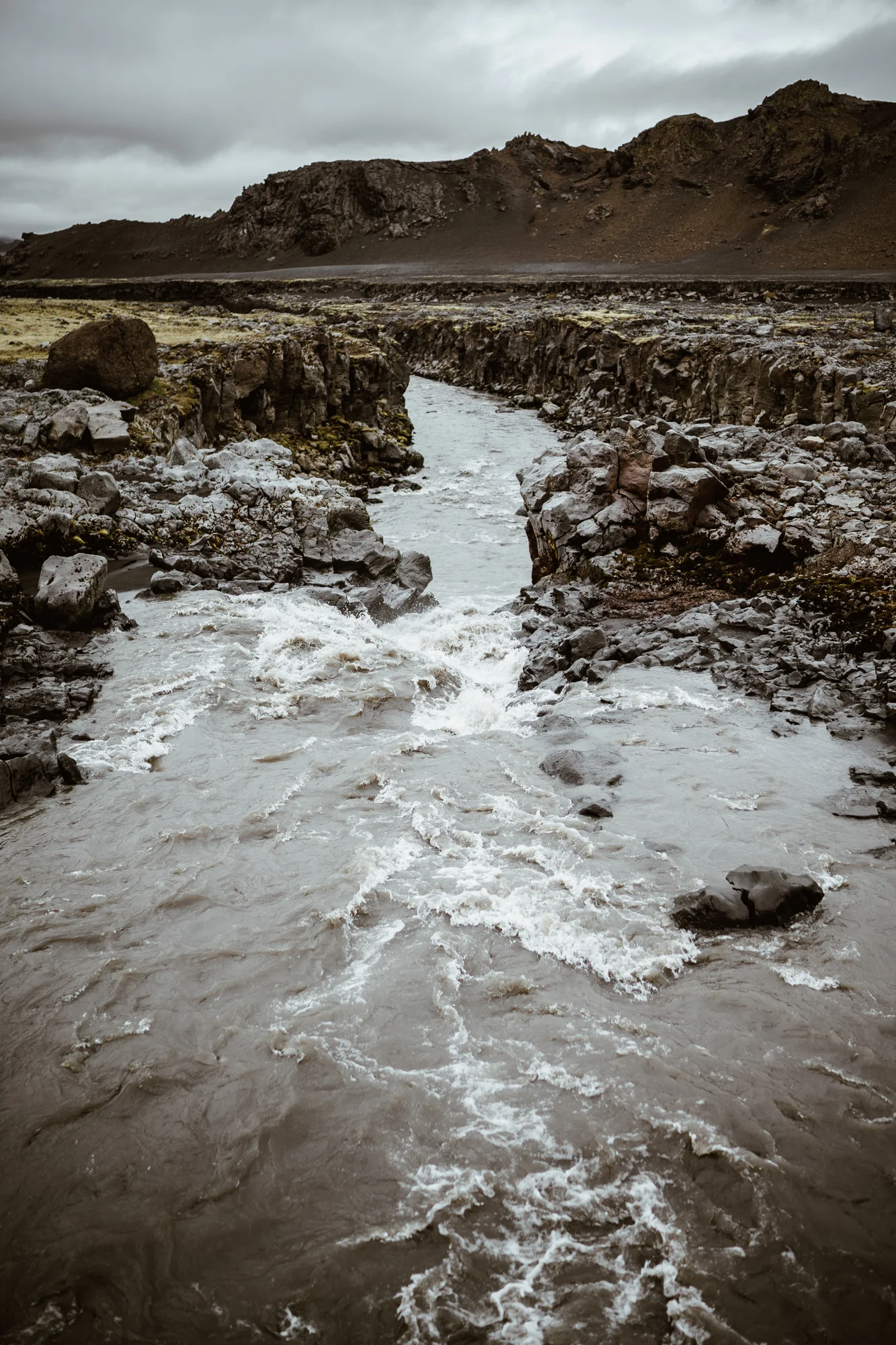 1 (39).jpg