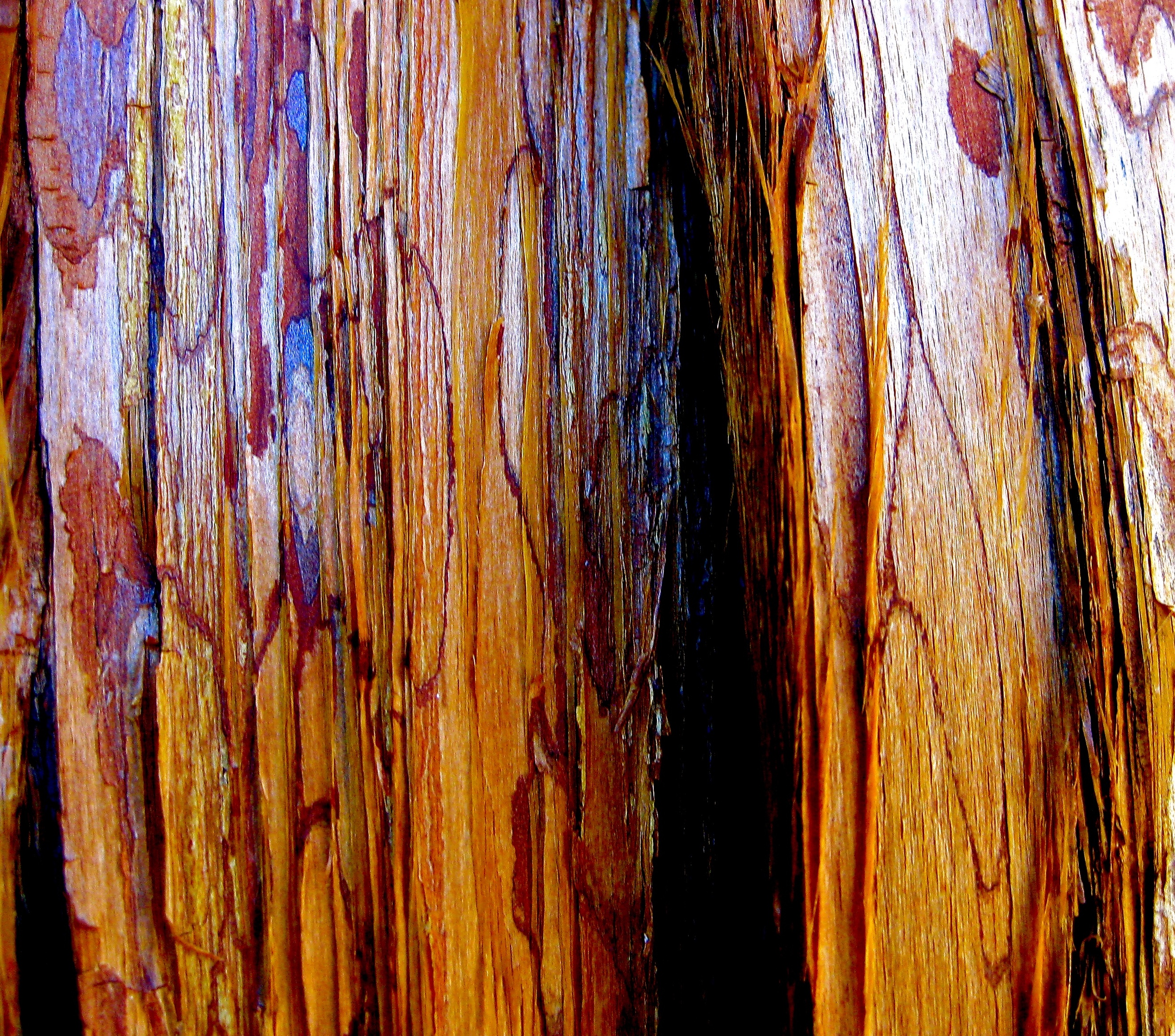 Wood 2