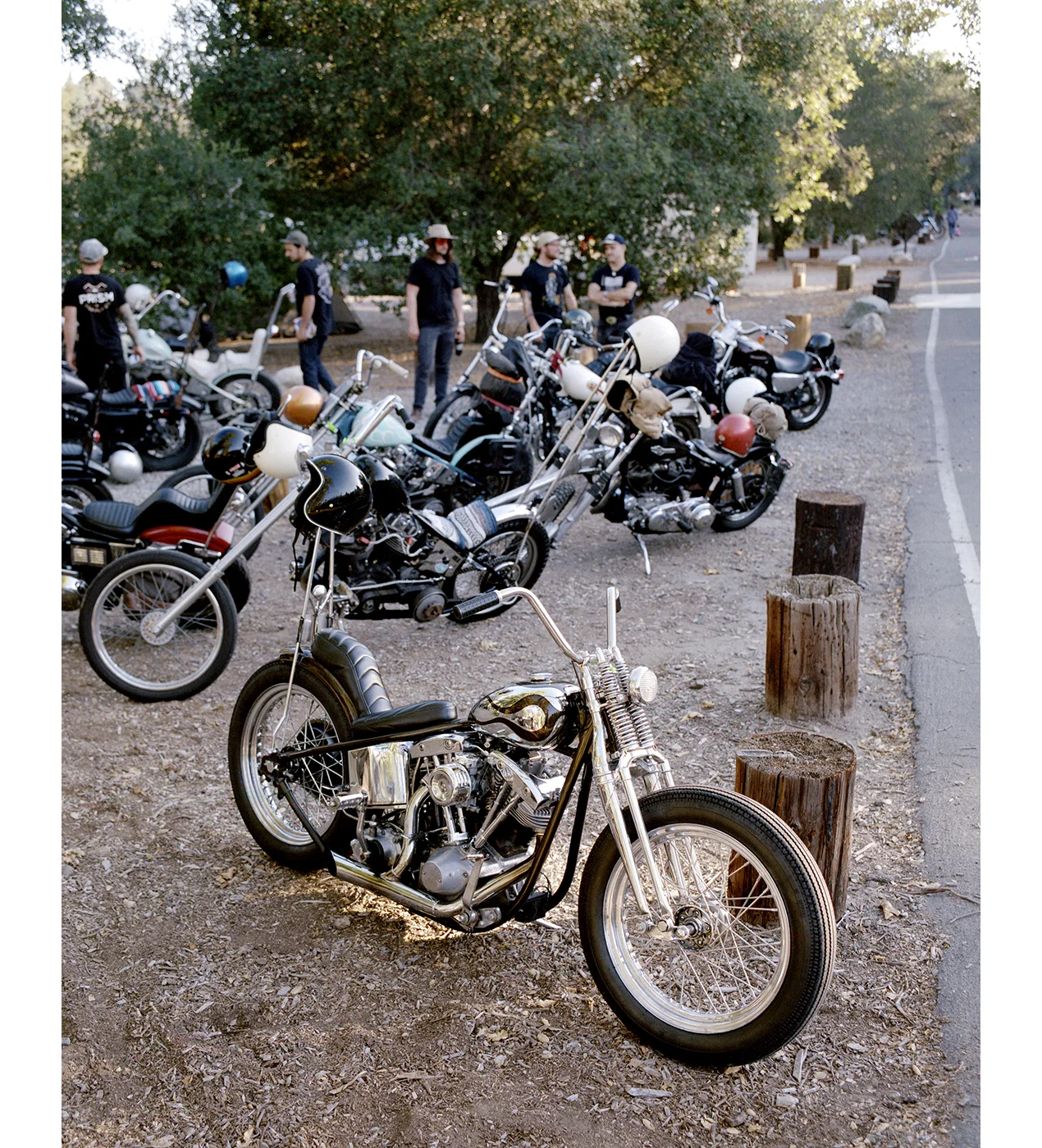 film118_006-1.jpg