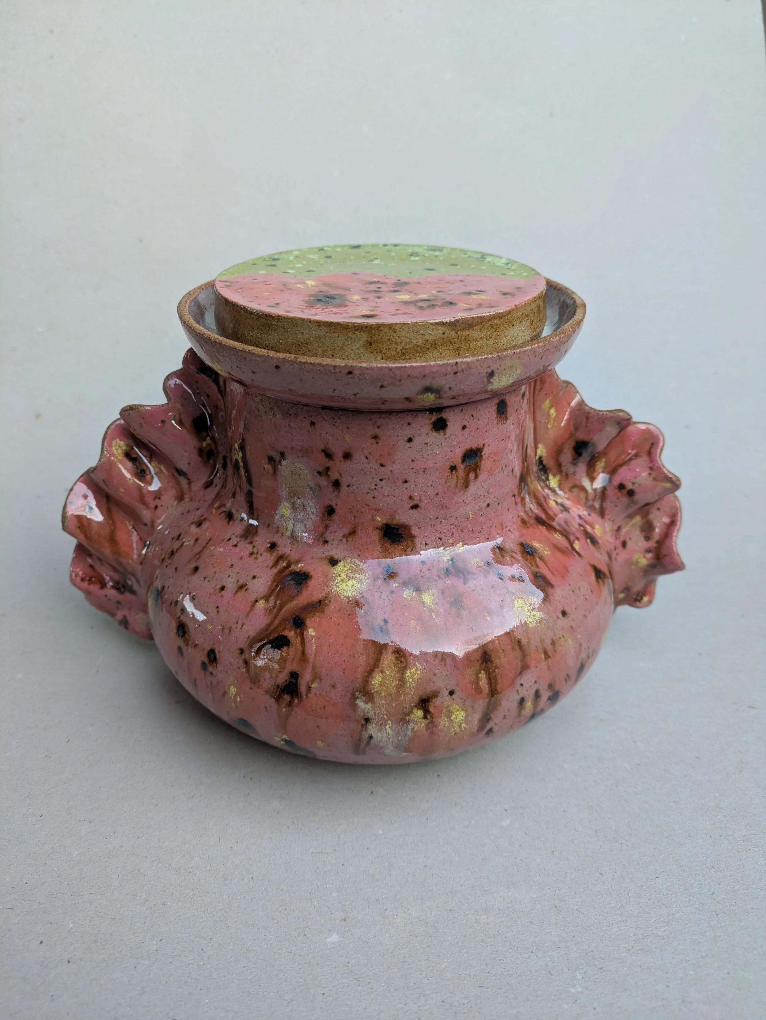 PXL_20251110_083817704 (1).jpg