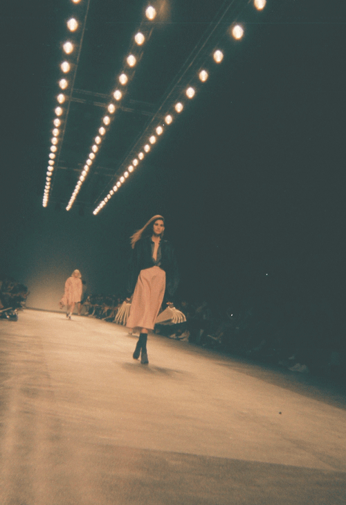 Untitled-4.gif
