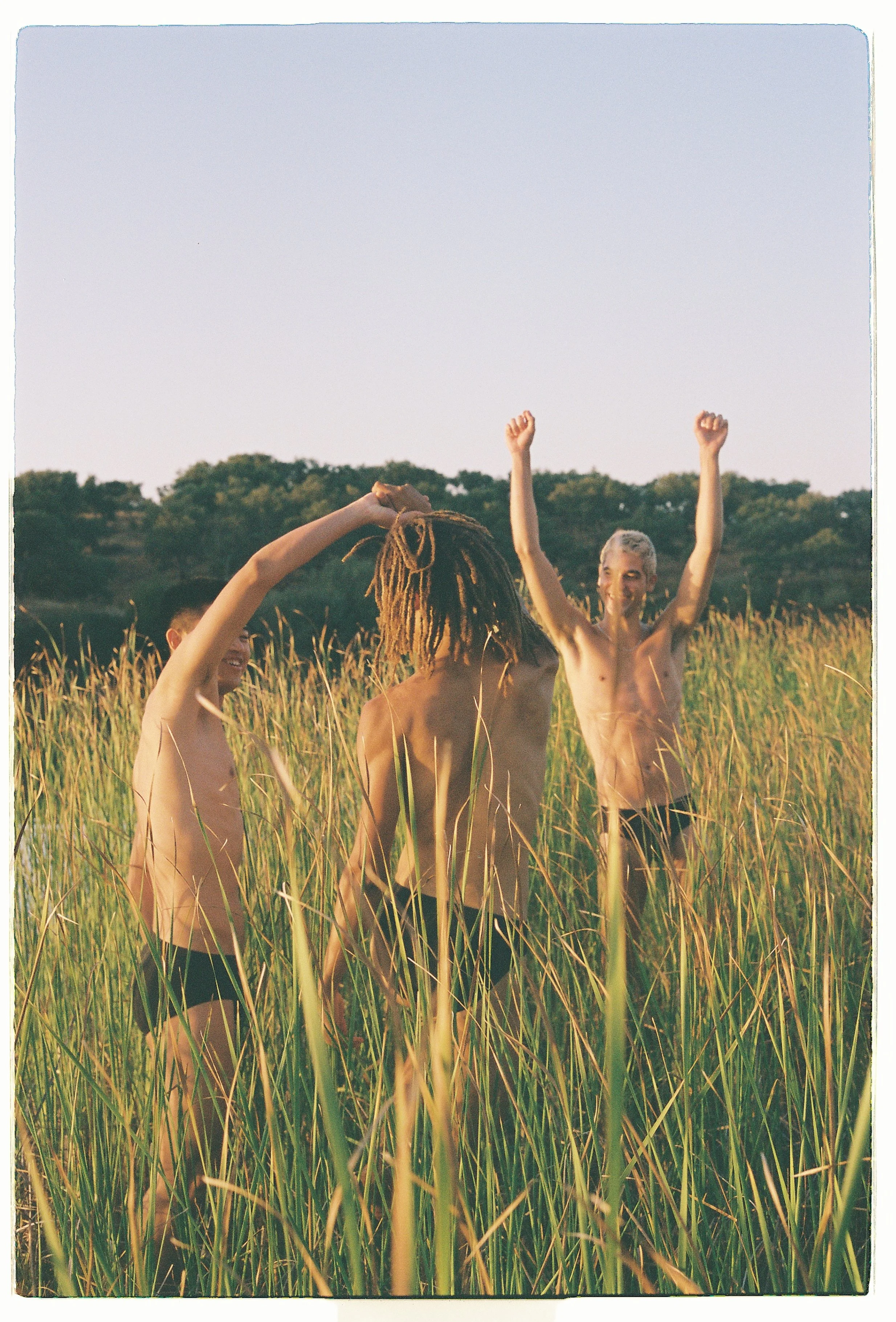 In dreams you go wild