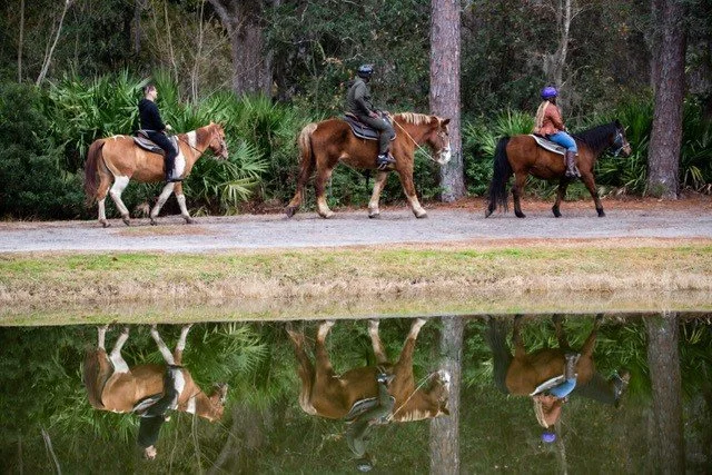 Trail Ride reflection.jpg