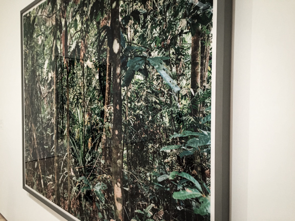 Thomas Struth, photograph matted and framed in grey wood. 