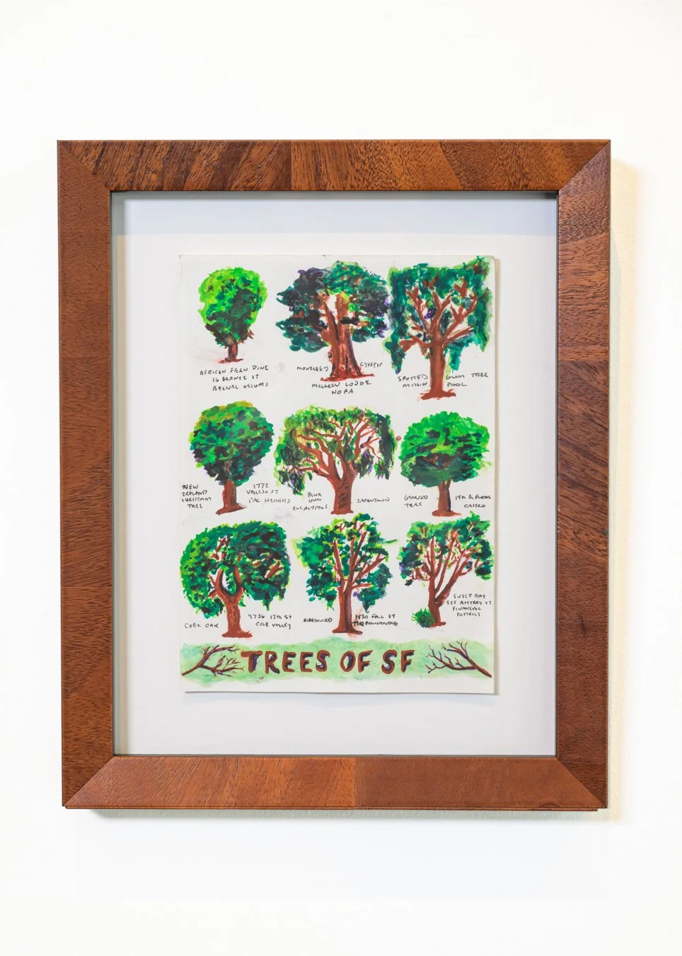 Trees of SF sketch page framed in wood frame-.jpg