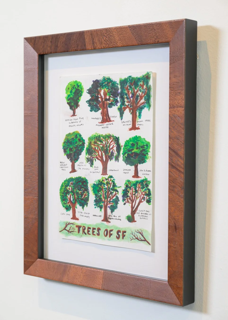 Trees of SF sketch page framed in wood frame-86108.jpg