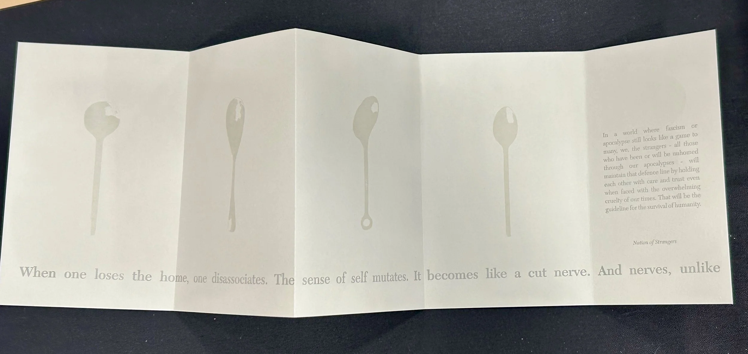 IMG_7067.jpeg