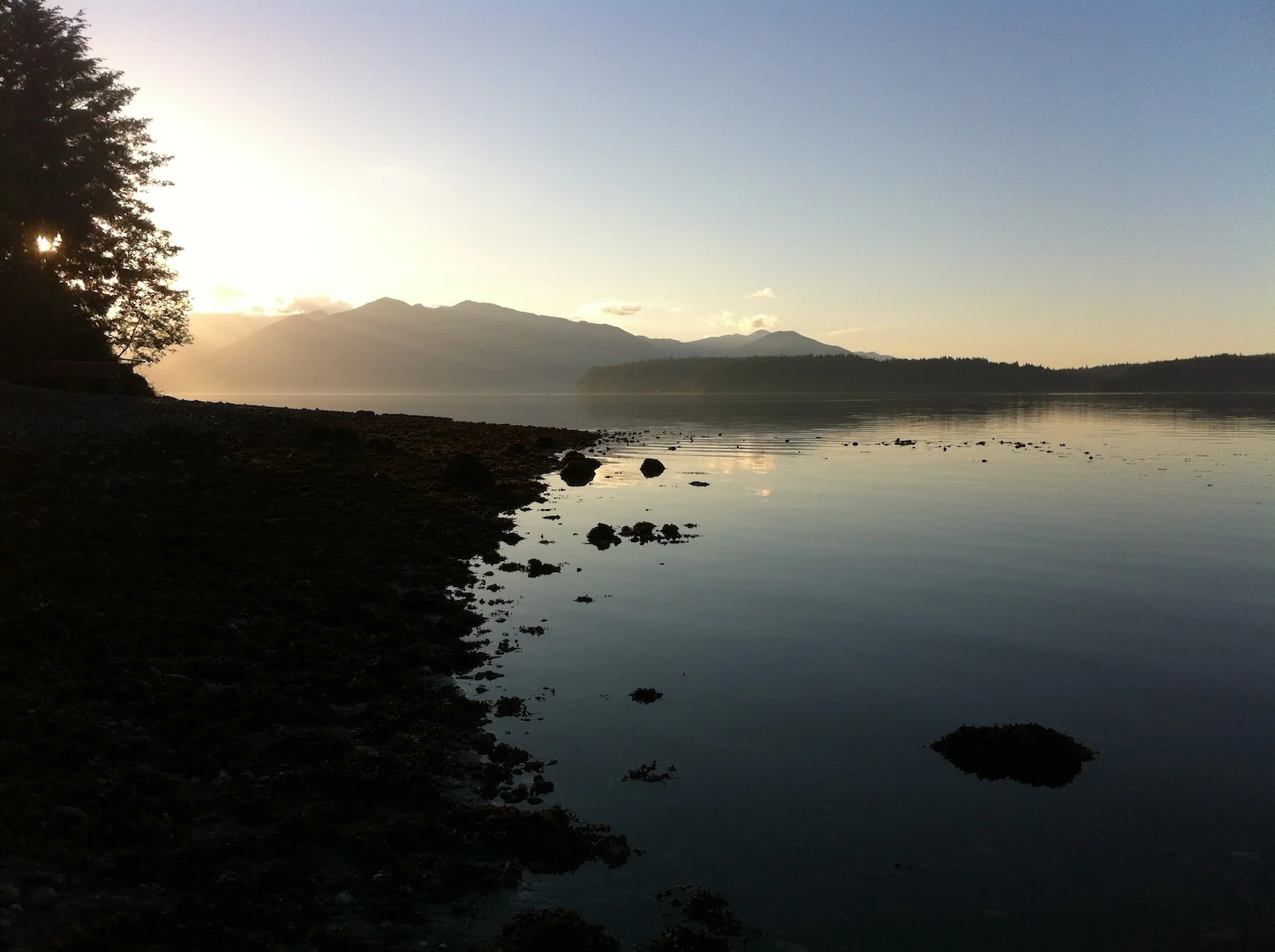 View from Big Beef Creek Field Station (2013)