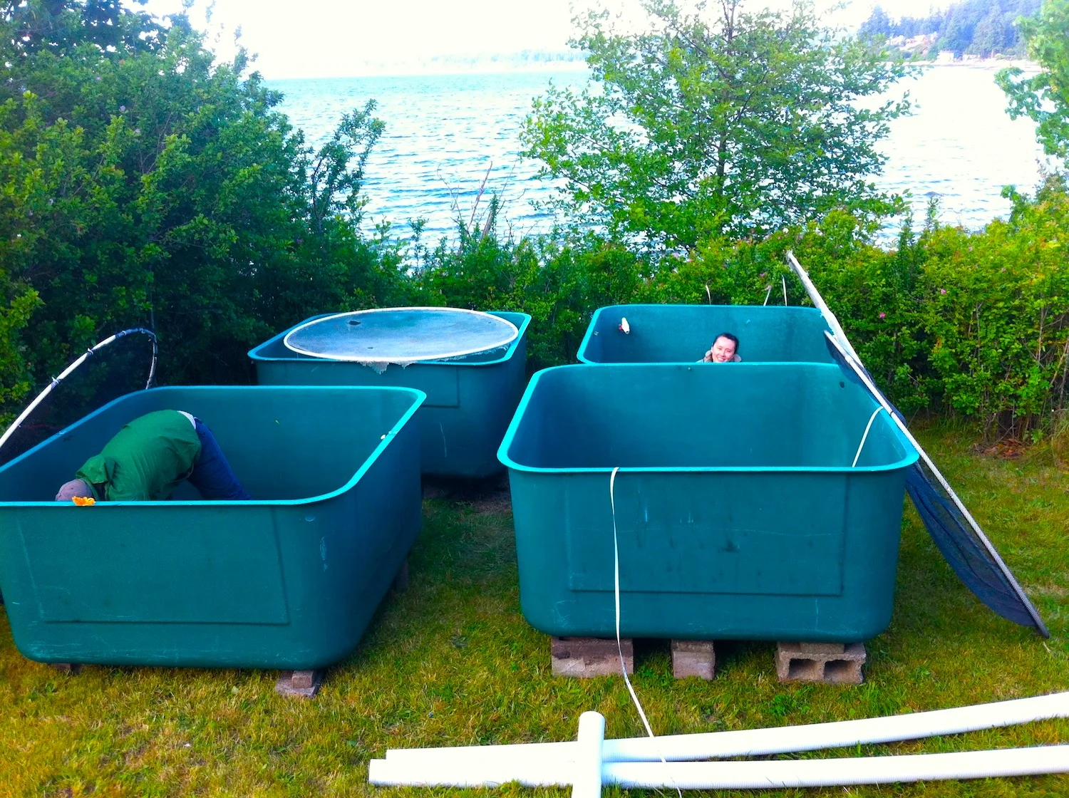 Joel and Jenny prepare tanks for behavior experiments (2013)