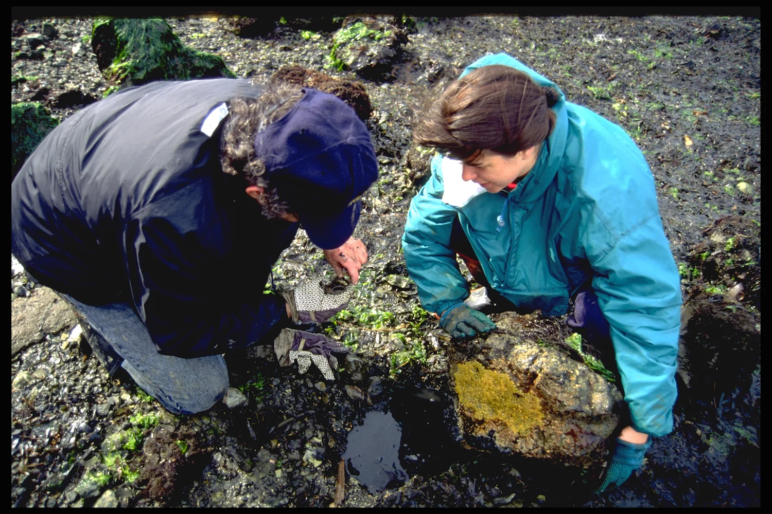 Andrew collecting midshipman with Christy Foran