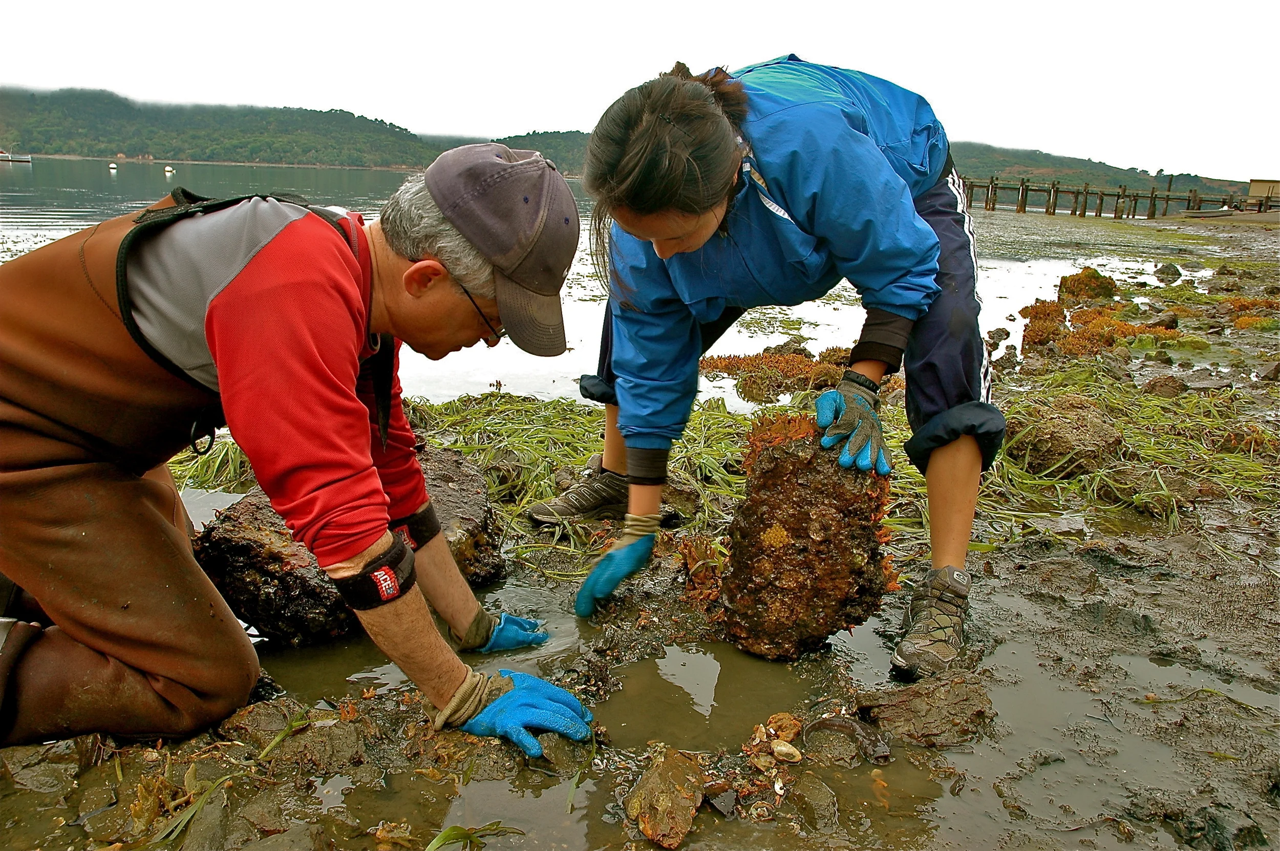Andrew and Ni searching for midshipman