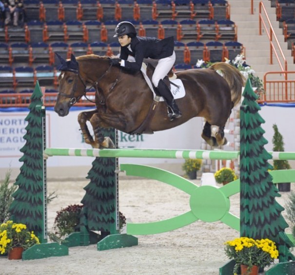 Penn. National TBT! Danielle Cooper and Kosta on their way to winning the Amateur-Owner Jumper Championship at the 2009 Pennsylvania National Horse Show!
.
.
.
.
@danielle_cooper_ #grandprixtutoring #kosta #horse #equestrian #pnhs #panational #showju