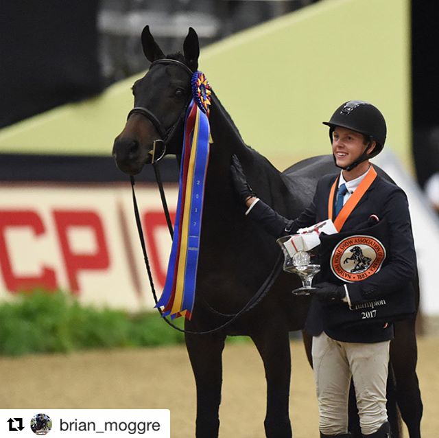 Congratulations to Brian Moggre and MTM Fashion on earning the Grand Junior Hunter Championship at the National Horse Show!
.
.
.
.
@brian_moggre @nationalhorseshow
#horse #horsesofinstagram #showjumping #hunterjumper #juniorhunters #champion #grandc