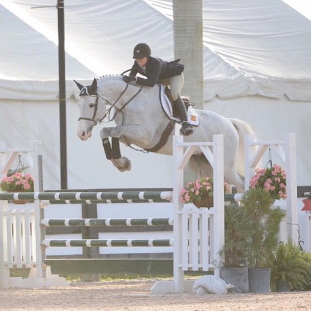 Catalina Peralta and Chopin Z jumped to 2nd place in the Low Junior Jumpers at WEF!
.
.
.
.
@cataperalta13 
#horse #horsesofinstagram #showjumping #hunterjumper #grandprix #equestrian #horseshowlife #horseshow #wef2018 #wef #wellington #wellingtonfl 