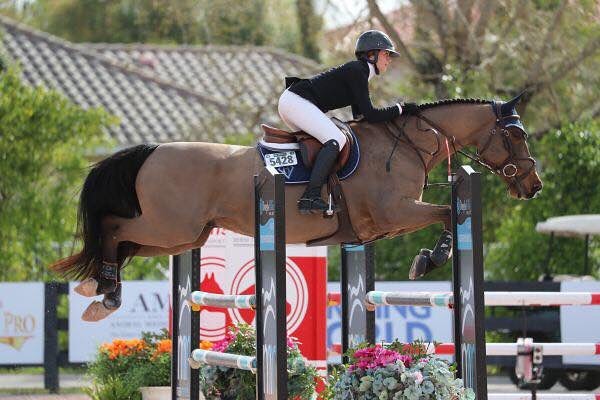 Jacey Albaugh and Axel Springs jumped to a clear round in the Low Junior Jumper Classic at WEF! Happy Birthday, Jacey! .
.
.
.
@jacey129 
#horse #horsesofinstagram #showjumping #hunterjumper #grandprix #equestrian #horseshowlife #horseshow #wef2018 #