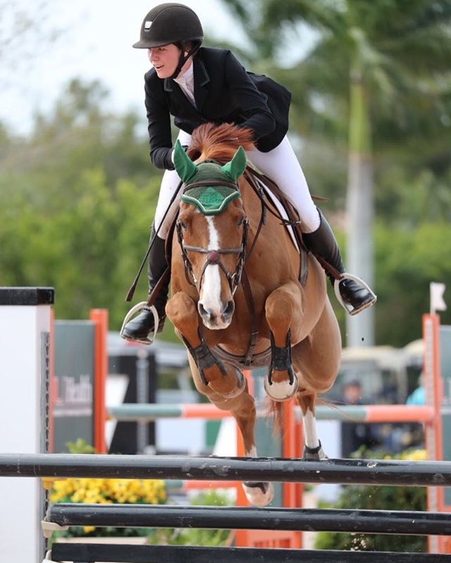 Congratulations to Caelinn Leahy and Splendor on their win in last week&rsquo;s Low Junior Jumper Classic at WEF!
.
.
.
@caelinn_leahy 
#horse #horsesofinstagram #showjumping #hunterjumper #grandprix #equestrian #horseshowlife #horseshow #wef2018 #we