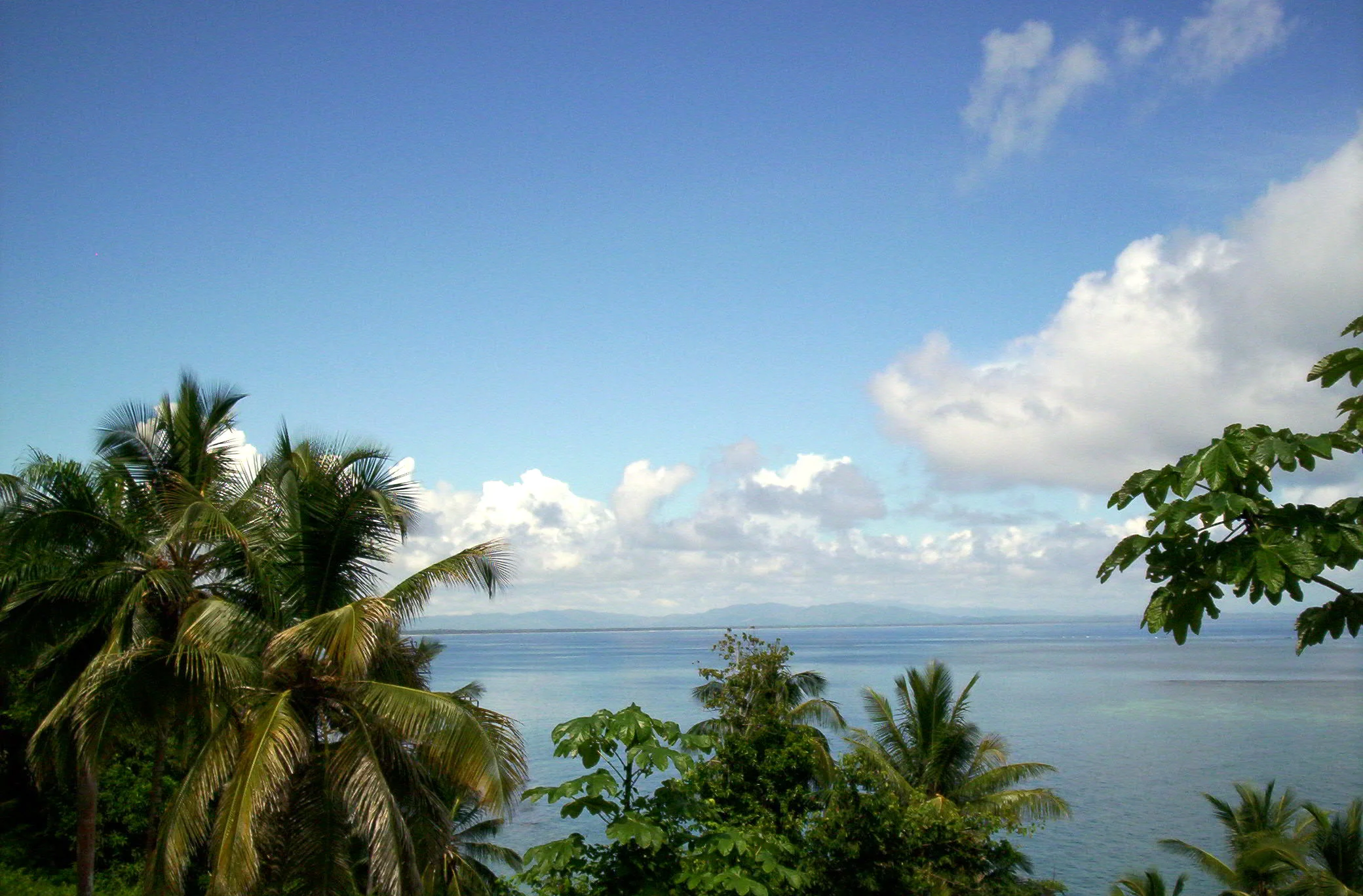 Front Image Pic.jpg