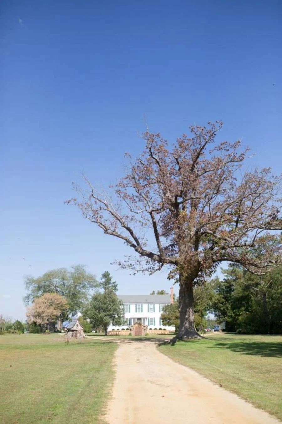 Virtually Tour Lingrow Farm, image size:900x1350