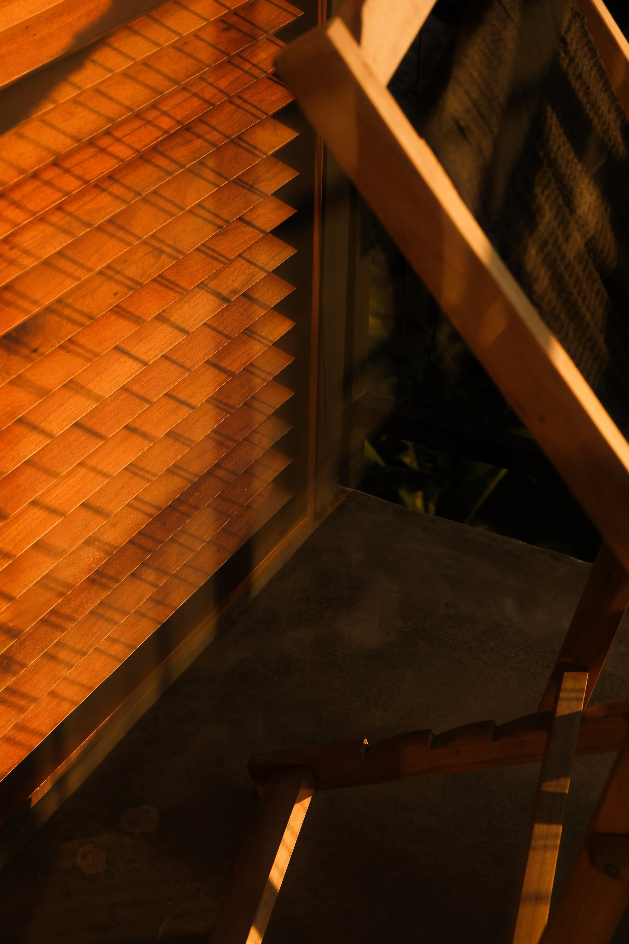 DSCF3464.jpg
