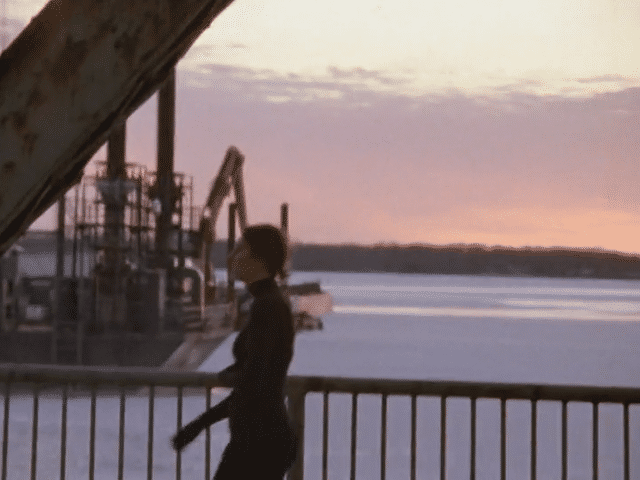 DinaCollab-high (1).gif