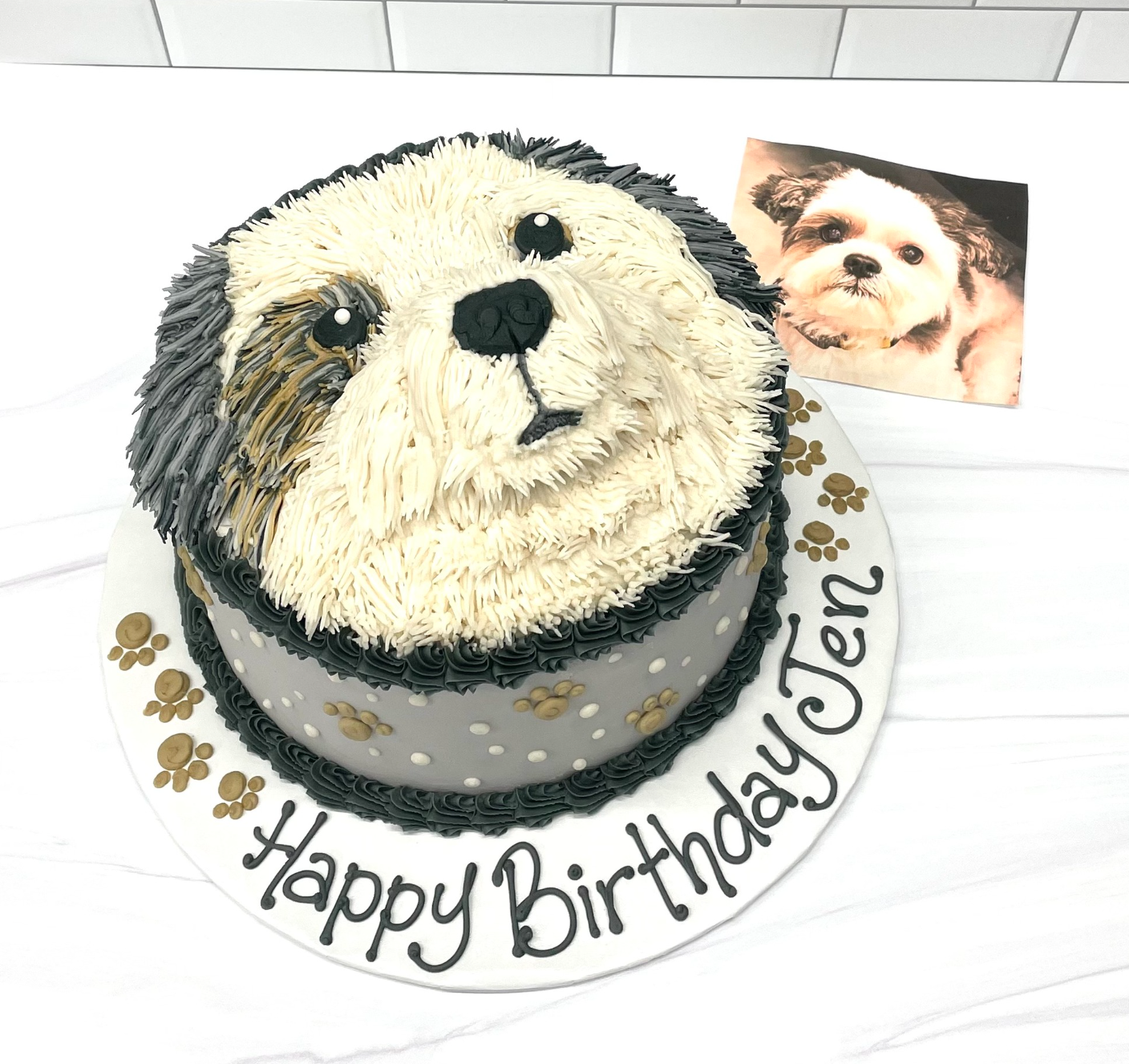 dog cake adult.png