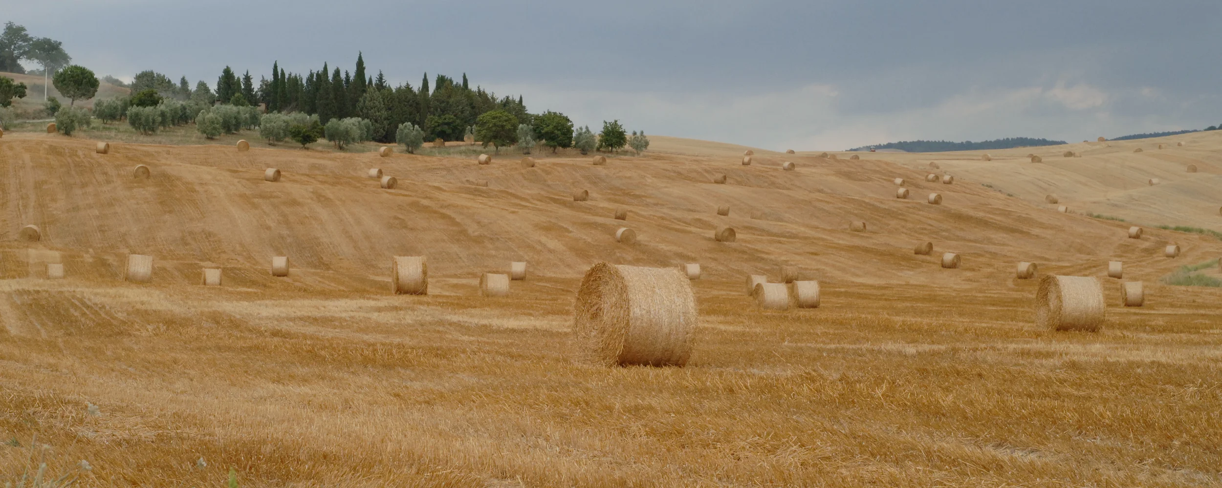 Toscane 071_0807_AD.jpg