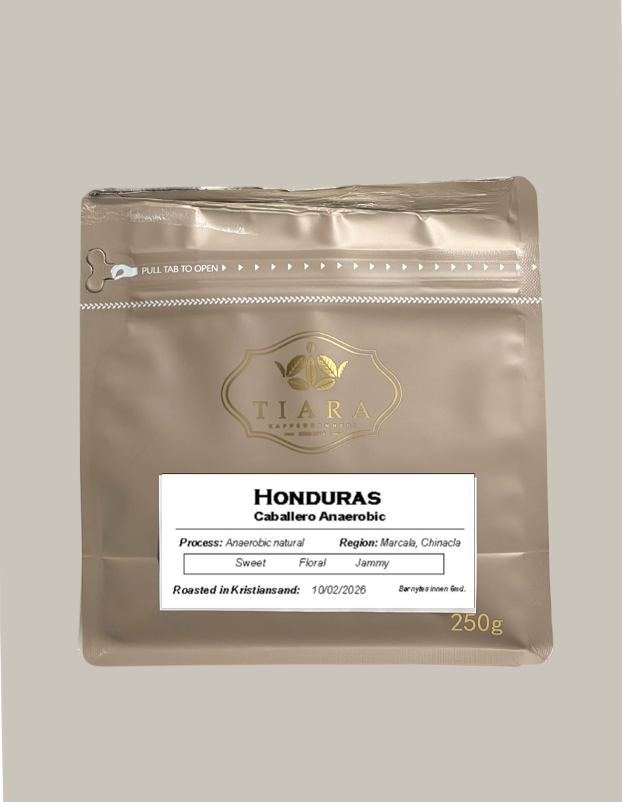 Screenshot 2026-02-23 at 20.18.38.png