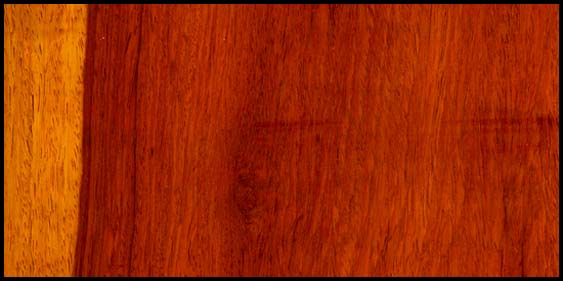 Padauk