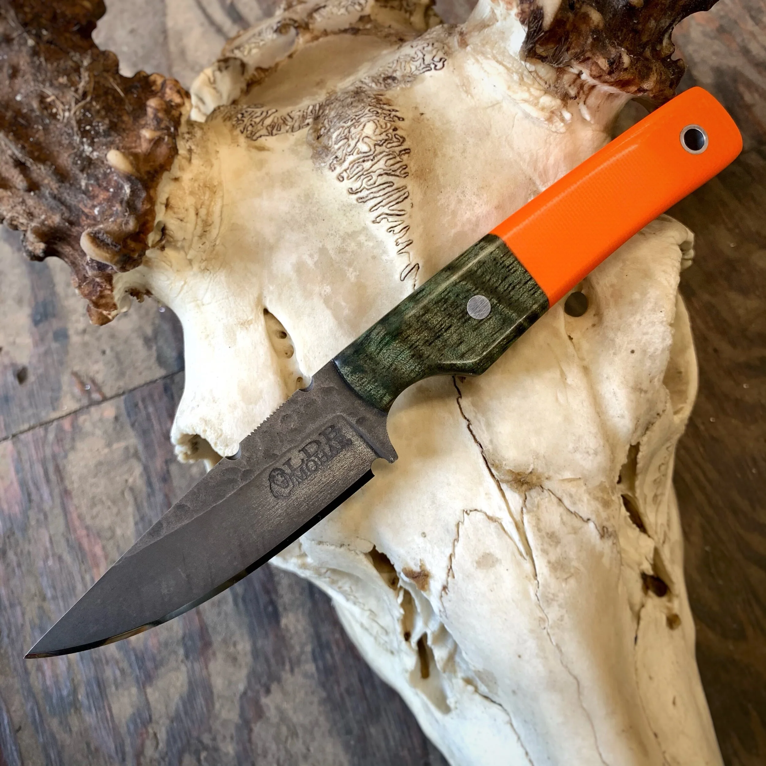 BF56F201-8CDA-4481-8E16-88E4F8DEA2D0