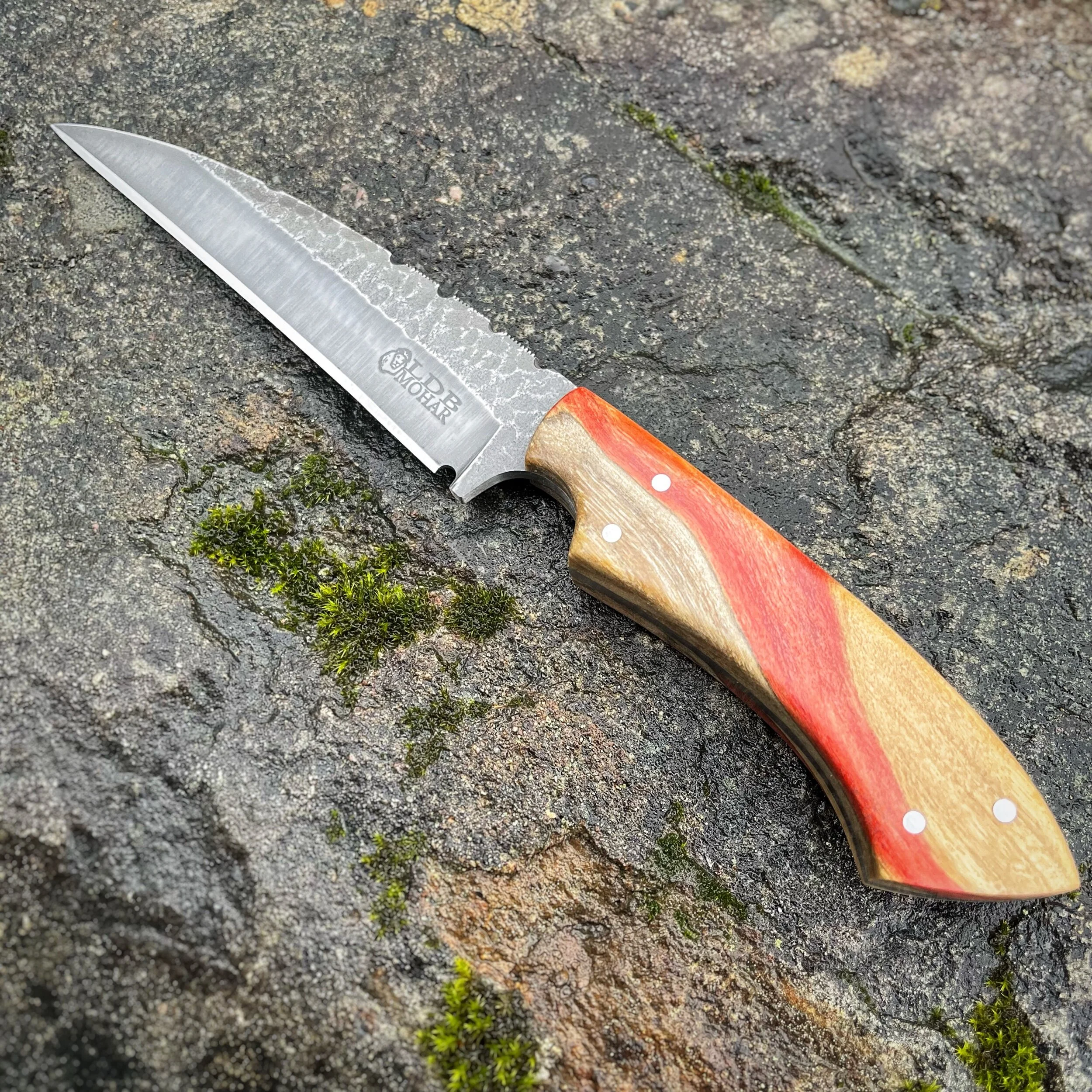 D40E4FB8-CF52-4CE5-B192-EFAC2956173D