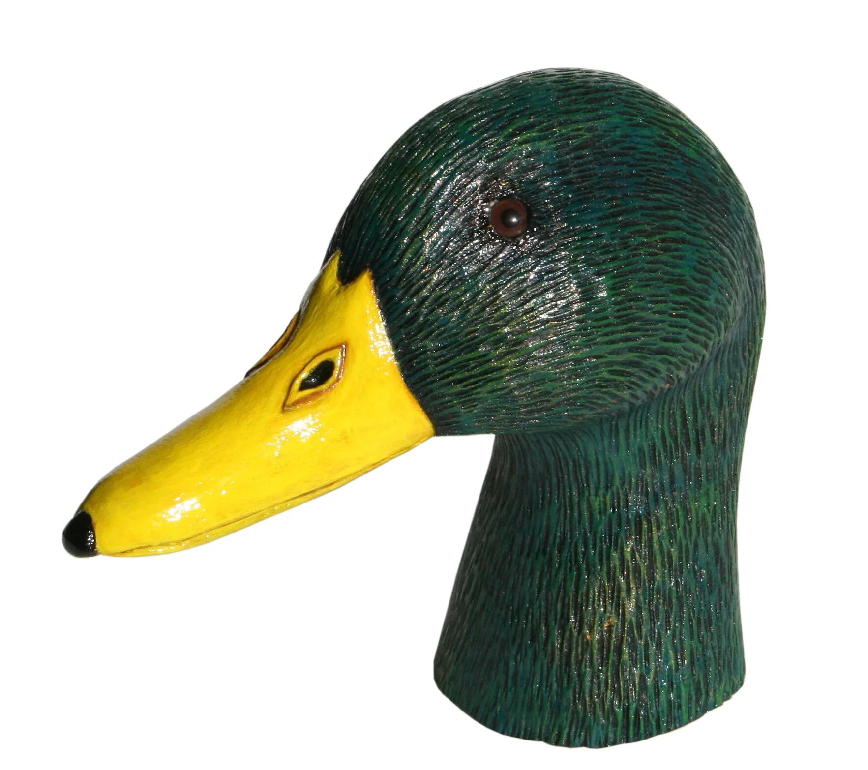 Duck2.JPG